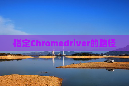 指定Chromedriver的路径
